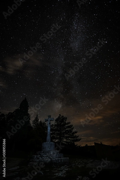 Obraz landscape with moon and trees