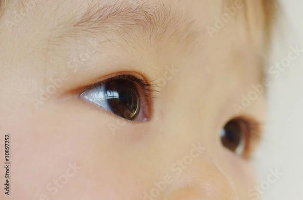 Obraz 幼児の眼差し