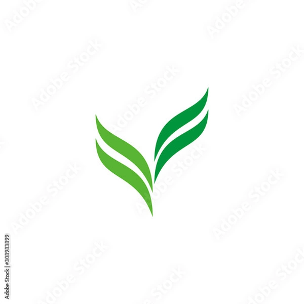 Obraz green leaf logo