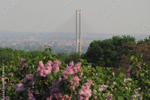 Obraz Kyiv view