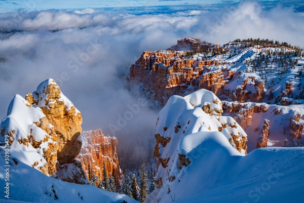 Obraz Winter on Bryce Canyon From Rainbow Point