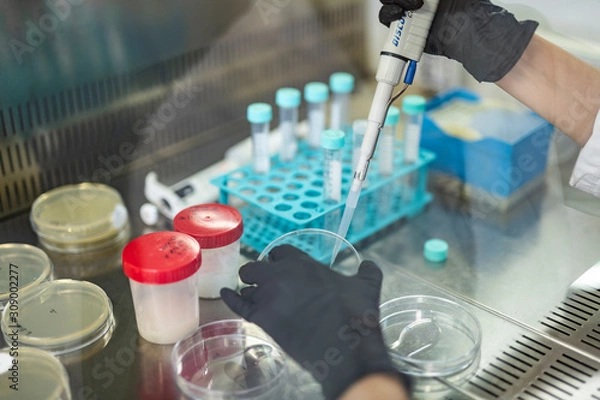 Obraz laboratorio medico