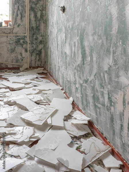 Fototapeta OLYMPUS DIGITAL CAMERA