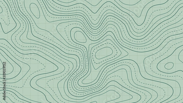 Obraz Topographic map lines background. Abstract vector illustration.