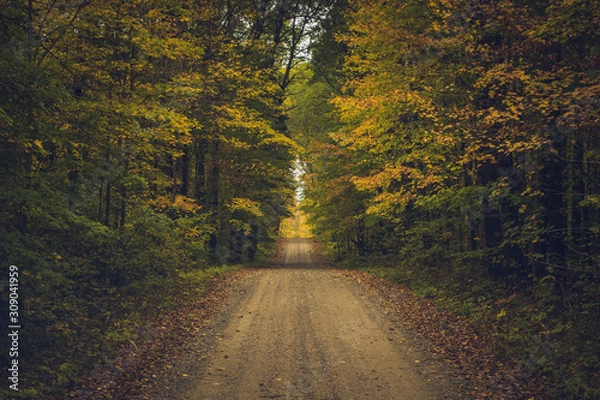 Obraz Rural Road in Fall