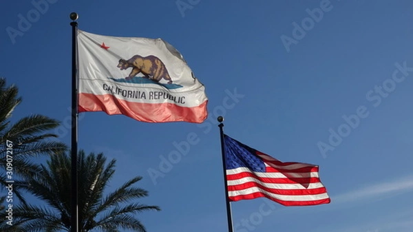 Fototapeta California and US flags flying in blue sky, with palm trees