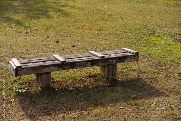 Fototapeta 公園のベンチ