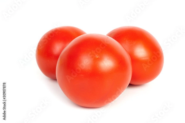 Obraz Tomatoes