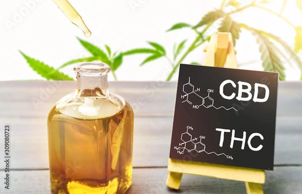 Fototapeta Cannabis oil in glass bottle and chalkboard with molecule drawing of THC and CBD