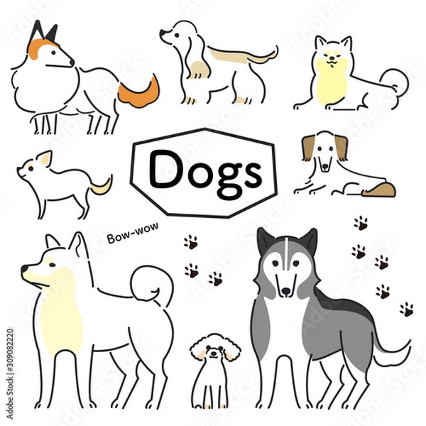 Fototapeta 犬　ポーズ　表情　セット