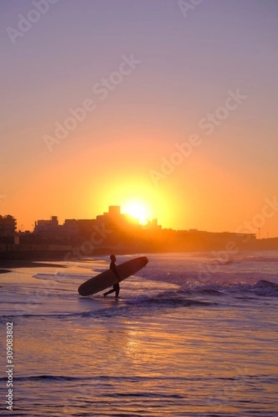 Fototapeta 冬の湘南サーファー