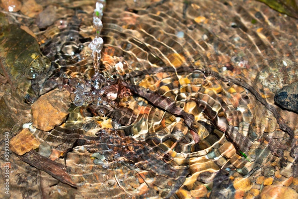 Obraz Water over stone