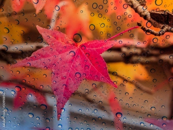Obraz red star on a blue background