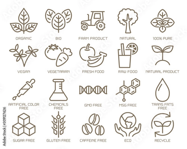 Fototapeta オーガニック　アイコンセット　英語表記