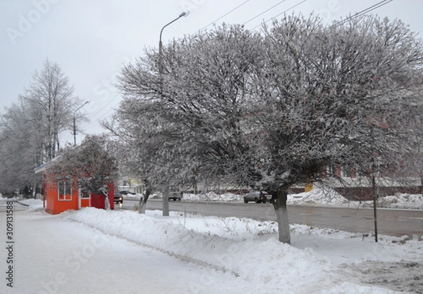 Obraz Красивый зимний  пейзаж в лесах и парках 