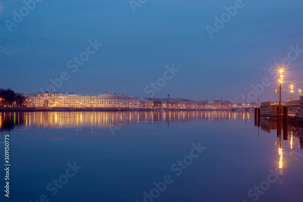 Fototapeta panorama of the Neva river with the promenade des Anglais and the building of the Senate and Synod