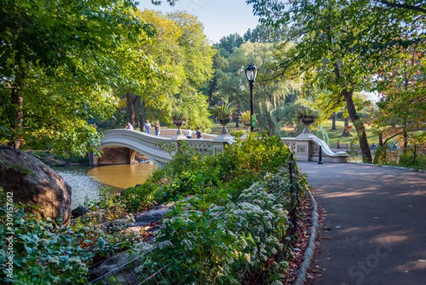Obraz Kładka dla pieszych Central Park