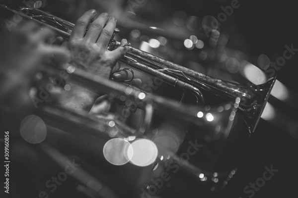 Obraz TROMPETAS Y SAXOS