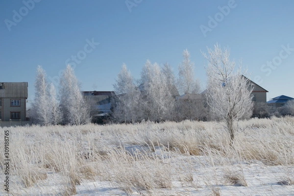 Fototapeta Winter landscape in forest and fields