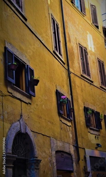 Obraz Flower on the yellow wall