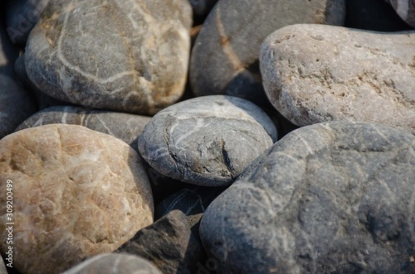 Fototapeta A lot of abstract smooth colored sea pebbles