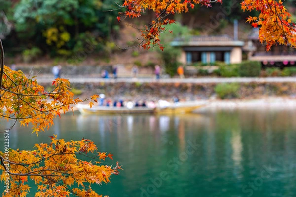 Fototapeta 京都嵯峨野大堰川の紅葉