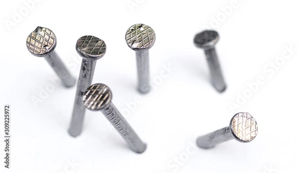 Obraz Metal nail head on a white background