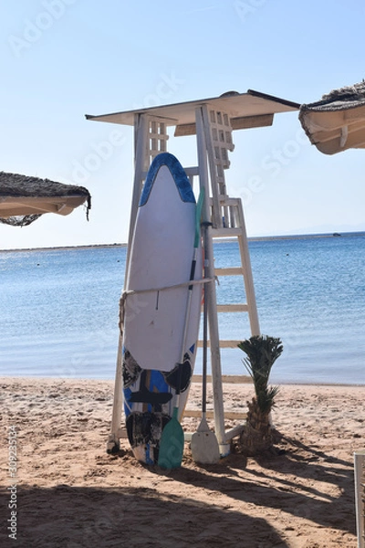 Obraz kitesurfing Dahab