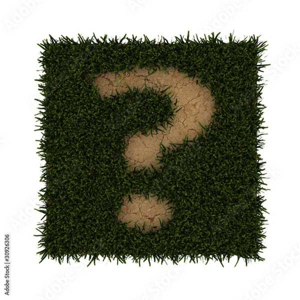 Obraz Gras Fragezeichen