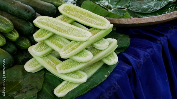 Obraz Cucumber
