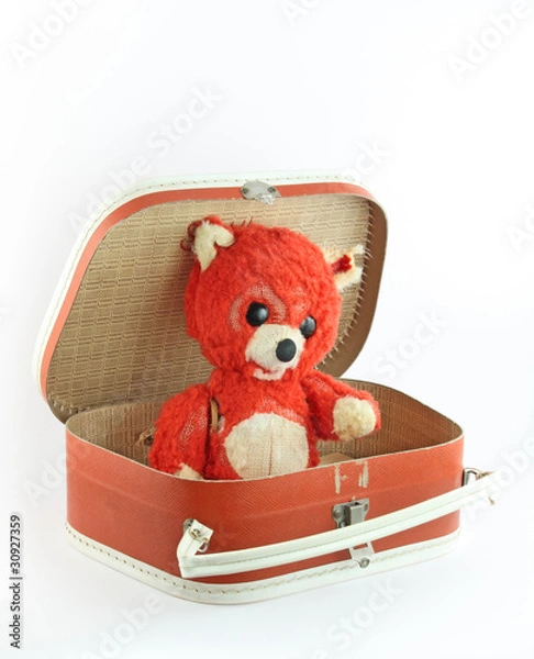 Obraz Worm bear in small suitcase