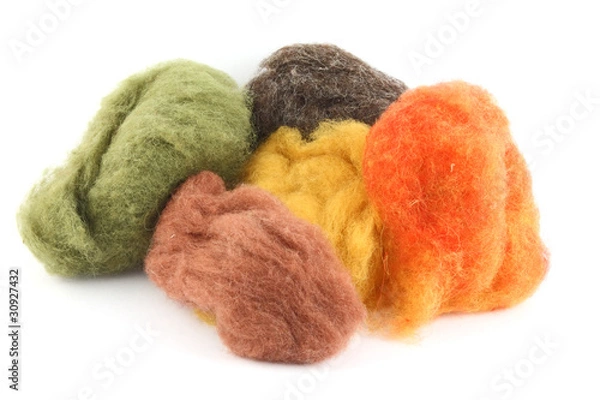 Obraz Wool for felting