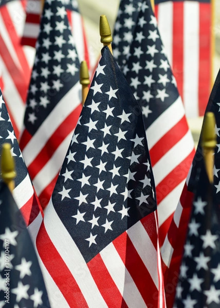 Fototapeta Multiple Flags