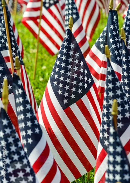 Obraz Remembering You