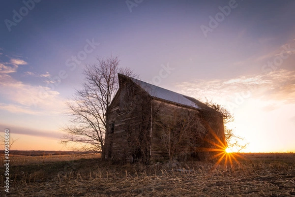 Obraz old barn in sunset