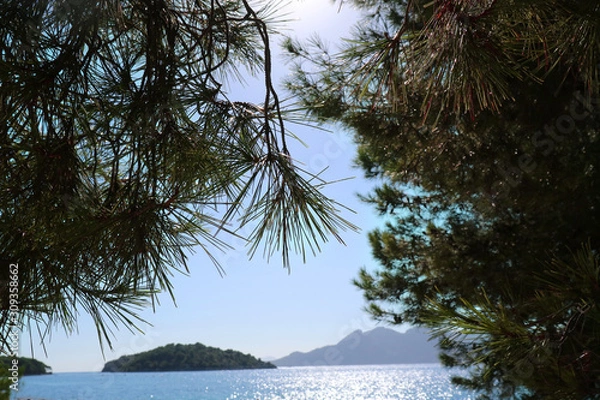 Obraz tree on the beach