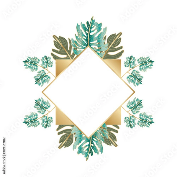 Fototapeta Isolated tropical green leaves vector design