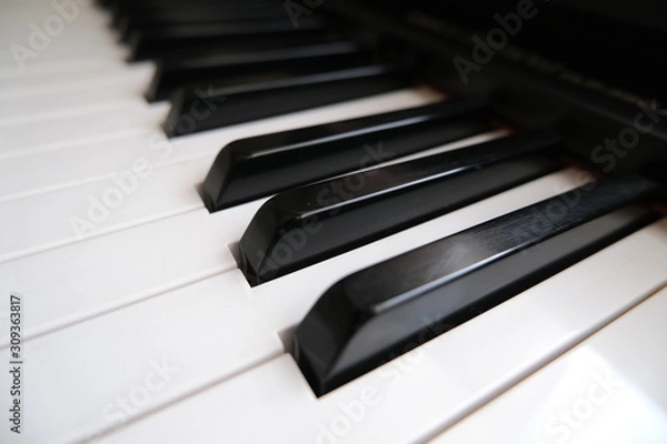 Fototapeta ピアノで楽しい演奏♪７