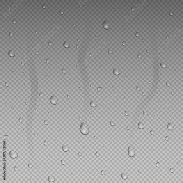 Fototapeta Vector realistic isolated water drops 