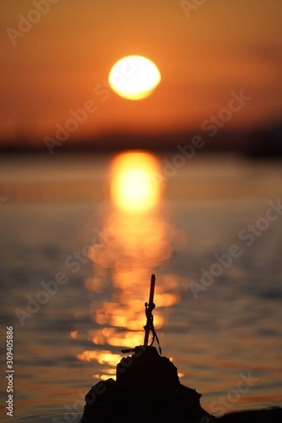 Fototapeta 海の日の出