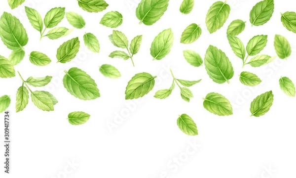 Fototapeta Fresh mint leaves and stems pattern isolated on white background, top view. Close up of peppermint. Spice medical and kitchen herbs digital clip art.Watercolor food and healthcare illustration.