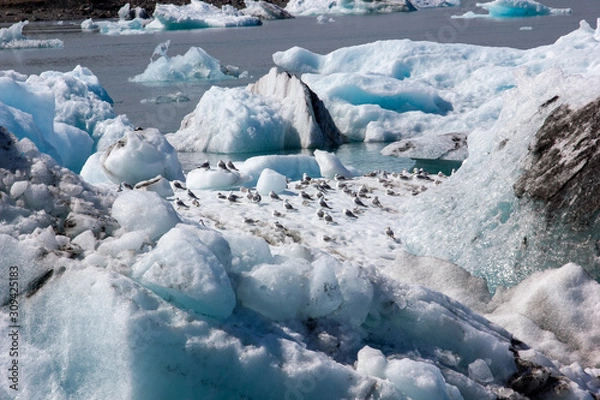 Fototapeta Jökulsárlón glacial lagoon with icebergs during summer in Iceland.