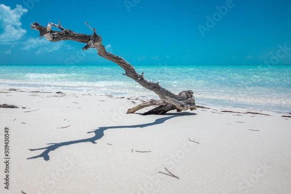 Fototapeta The Pristine Beaches of White Cay, Exumas, Bahamas