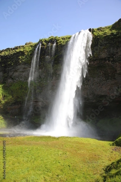 Fototapeta View of Seljalandsfoss waterfall, Iceland
