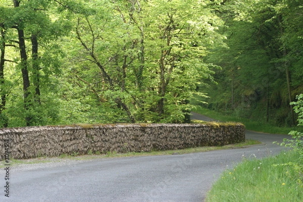 Obraz route forestiere