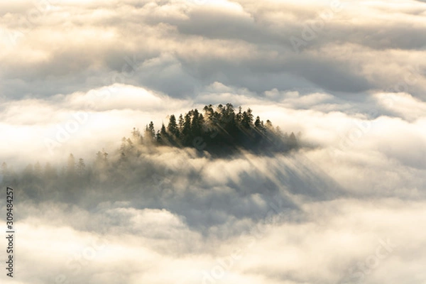 Fototapeta Pieniny in autumn