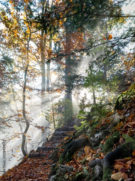 Fototapeta Pieniny in autumn