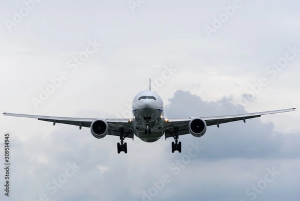 Fototapeta 大阪空港　ジェット機