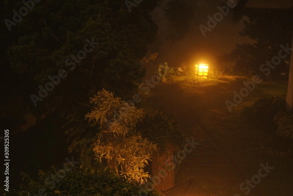 Obraz garden lights at night