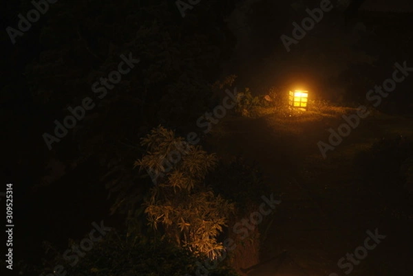 Obraz garden lights at night